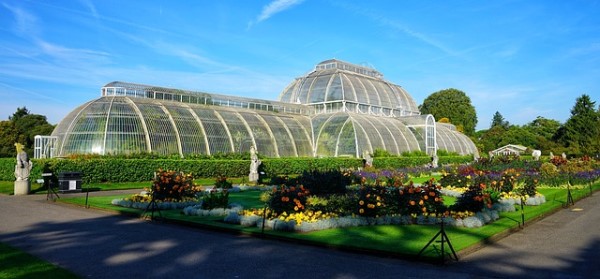 Kew Gardens, Londra